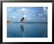 Girl Diving Into Pool, Mafushivaru, Ari Atoll, Alifu, Maldives by Felix Hug Limited Edition Print