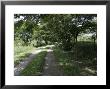 Brick And Grass Path, Mexico by Gina Martin Limited Edition Print