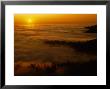 Fog At Sunset On Northern California Coast by Phil Schermeister Limited Edition Print