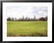 Rural Farmlands Provide A Scenic View by Stephen St. John Limited Edition Pricing Art Print