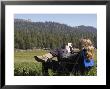 Woman Relaxing With A Book In Sequoia National Forest, California by Rich Reid Limited Edition Pricing Art Print