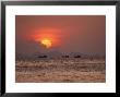 Silhouetted Fishing Boats On The Water At Sunset by Michael Melford Limited Edition Pricing Art Print