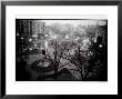 Scott Circle Seen From A Hotel Window, Washington, District Of Columbia by Randy Olson Limited Edition Print