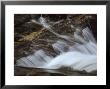 Small River Cascades Over Rocks In A Coastal Atlantic Forest by Jason Edwards Limited Edition Pricing Art Print