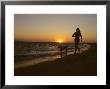 Woman And Her Dog Running Along Currituck Sound Beach At Sunset, Nags Head, North Carolina by Skip Brown Limited Edition Print