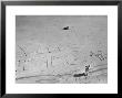 Girl Standing By The Words Vote Labour Written In The Sand by Cornell Capa Limited Edition Print