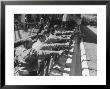 Revolvers Being Used By Police Class During Target Practice At Los Angeles City College by Peter Stackpole Limited Edition Print