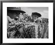 Young Fans Standing At Fence Which Borders Field At World Series Game, Braves Vs. Yankees by Grey Villet Limited Edition Print