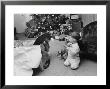 Raymond And Susie Mcfarland Looking At Their New Airedale Puppy Leaning Out Of A Christmas Gift Box by Ralph Crane Limited Edition Print