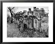 Pentecostal Zealot Harrison Mayes Standing With Religious Signs Made And Posted by Carl Mydans Limited Edition Print