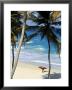 Bottom Bay, Barbados, Caribbean by Doug Pearson Limited Edition Print