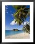 Trunk Bay, St. John, U.S. Virgin Islands, West Indies, Caribbean, Central America by Gavin Hellier Limited Edition Print