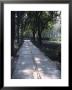 Crystal Glass Walkway Marking Spot Of Indira Gandhi's Assassination, Akbar Road, India by John Henry Claude Wilson Limited Edition Print