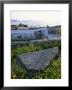 Killer Whale Petroglyph On The Beach At Petroglyph Beach State Park by Rich Reid Limited Edition Print