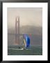 International 14 Skiff Sails Under The Golden Gate Bridge, San Francisco Bay, California by Skip Brown Limited Edition Print