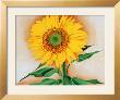 Sunflower by Georgia O'keeffe Limited Edition Pricing Art Print