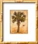Monaco Palm (Detail) by Chad Barrett Limited Edition Pricing Art Print