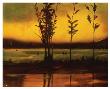 Sunset Glow by Judith D'agostino Limited Edition Print