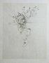 Des Pieds Et Des Mains by Hans Bellmer Limited Edition Pricing Art Print