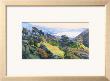 Spring Cascade by Marcia Burtt Limited Edition Pricing Art Print