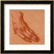 Study Of A Left Hand by Leonardo Da Vinci Limited Edition Print