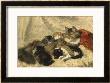 Taking A Cat Nap by Henriette Ronner-Knip Limited Edition Pricing Art Print