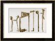 Native American War Clubs by S. Eastman Limited Edition Pricing Art Print