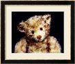 Close Up Of A Steiff Dual Mohair Teddy Bear, C, 1926 by Steiff Limited Edition Pricing Art Print