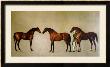 Whistlejacket And Two Other Stallions With Simon Cobb, The Groom, 1762 by George Stubbs Limited Edition Print