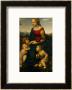 Madonna And Child With St. John The Baptist, 1507 by Raphael Limited Edition Print