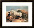 Arab Stallion by Edwin Henry Landseer Limited Edition Print
