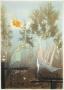 Composition A by Renee Lubarow Limited Edition Pricing Art Print