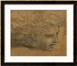 Head Of A Young Man, Three Quarters Towards The Right by Raphael Limited Edition Print