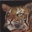Tigre by Henry Limited Edition Pricing Art Print