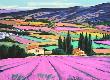 Provence : Champs De Lavandes by Jean Claude Quilici Limited Edition Pricing Art Print