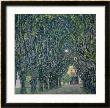 Tree-Lined Road Leading To The Manor House At Kammer, Upper Austria, 1912 by Gustav Klimt Limited Edition Print