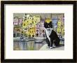 Cat In Corricella, Italy by Isy Ochoa Limited Edition Print