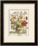Hand Colored Engraving Of Bouquet- October, 1730 by Robert Furber Limited Edition Print