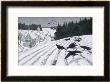 Walther Georgi Pricing Limited Edition Prints