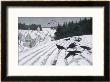 Crows Search For Food In The Snow In Fields On The Outskirts Of A German Village by Walther Georgi Limited Edition Print