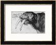 Walrus, British Museum, London by Albrecht Durer Limited Edition Pricing Art Print