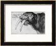 Walrus, British Museum, London by Albrecht Durer Limited Edition Print