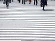 People Starting To Cross The Hachiko Square Zebra Crossing, Tokyo, Japan by Oote Boe Limited Edition Print