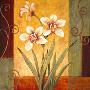 White Orchids by Leanne Noble Limited Edition Pricing Art Print