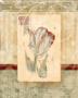Love Letter Tulip by Nancy Pallan Limited Edition Print