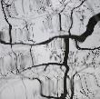 Kapitel Drei - Windbaume #1 by Sabine Wenzel Limited Edition Print