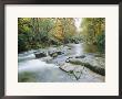The River Esk, Eskdale, Lake District National Park, Cumbria, England, Uk by Roy Rainford Limited Edition Print