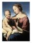 Niccolini, Cowper Madonna by Raphael Limited Edition Pricing Art Print