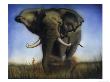 Elephant, C.1996 by Xavier Jones Limited Edition Print