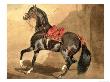 Arabian Horse by Alfred Dedreux Limited Edition Print